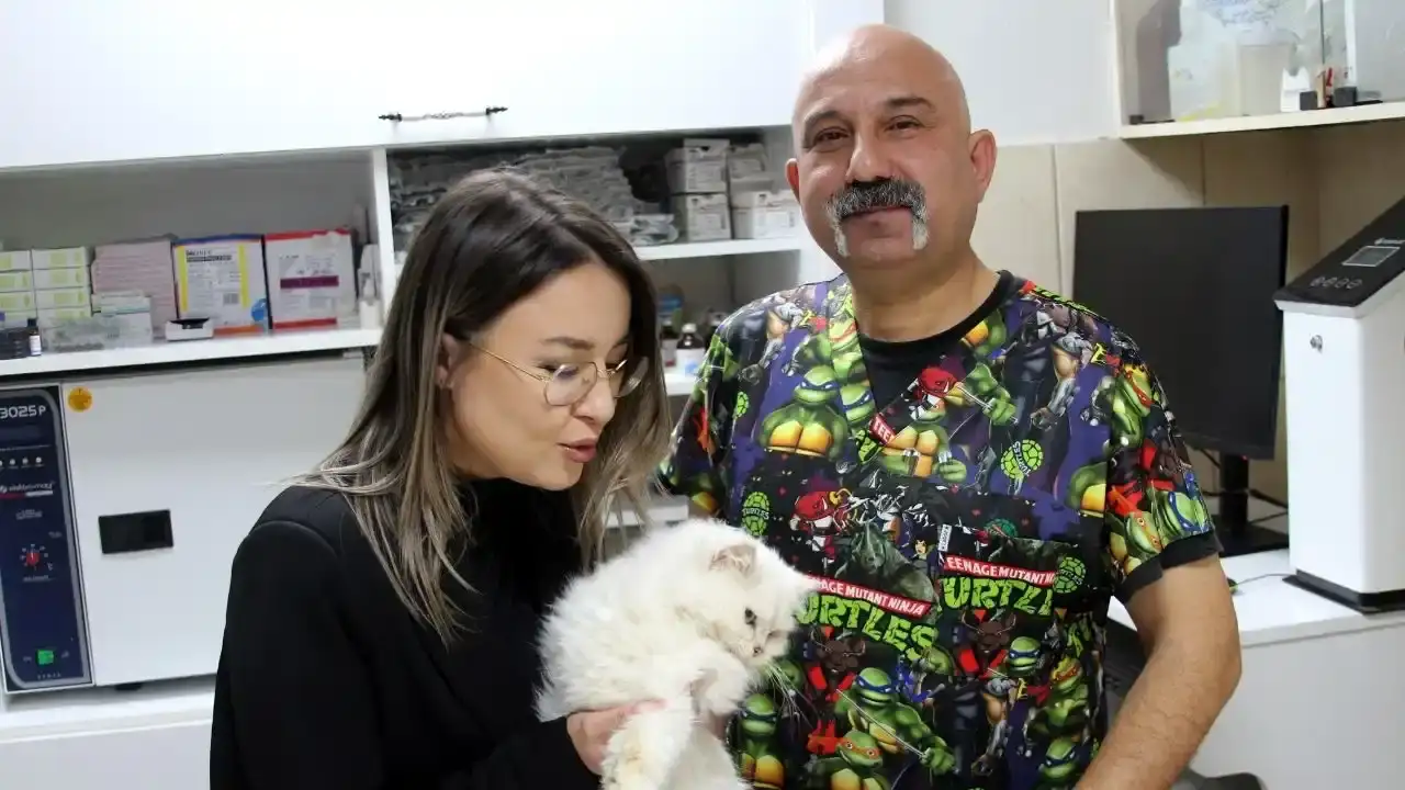 Adana’da Sokak Kedisiyle İlgili Şaşırtan Gerçek: Veterinerler Bile Şaşkın! 1